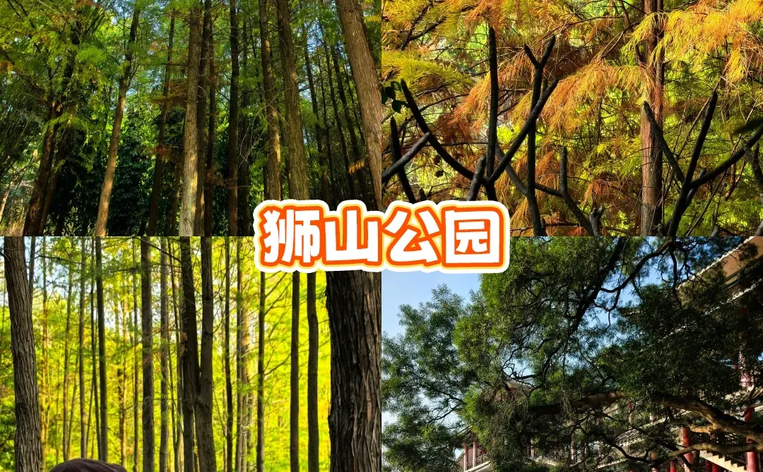 南国冬日不猫冬！打卡南宁8个神仙地～