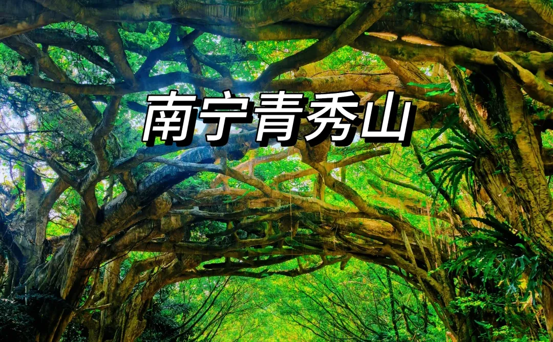 畅玩崇左百色南宁🌈五天四晚的攻略请收下