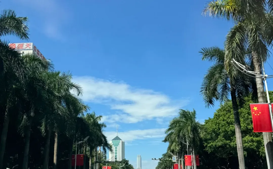 南宁司机素质真的很高！