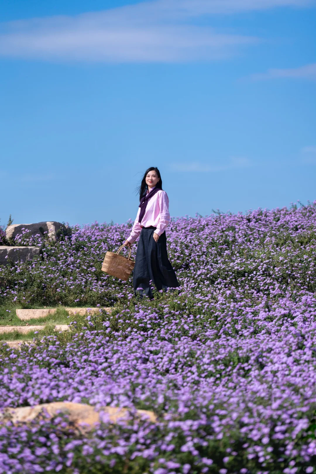 在南方，我闯入了莫奈的冬日花园💜紫色浪漫