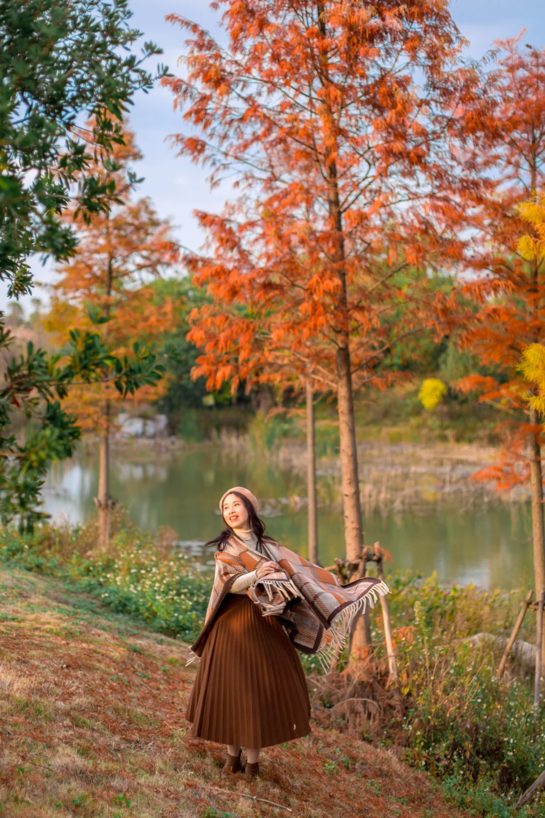 爆款机位被我“包场”了｜柳州水杉秘境