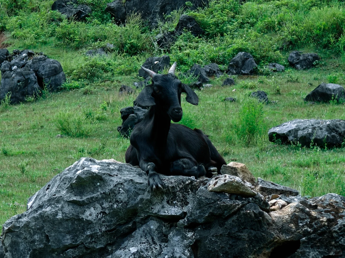柳州去了 景看了（下）