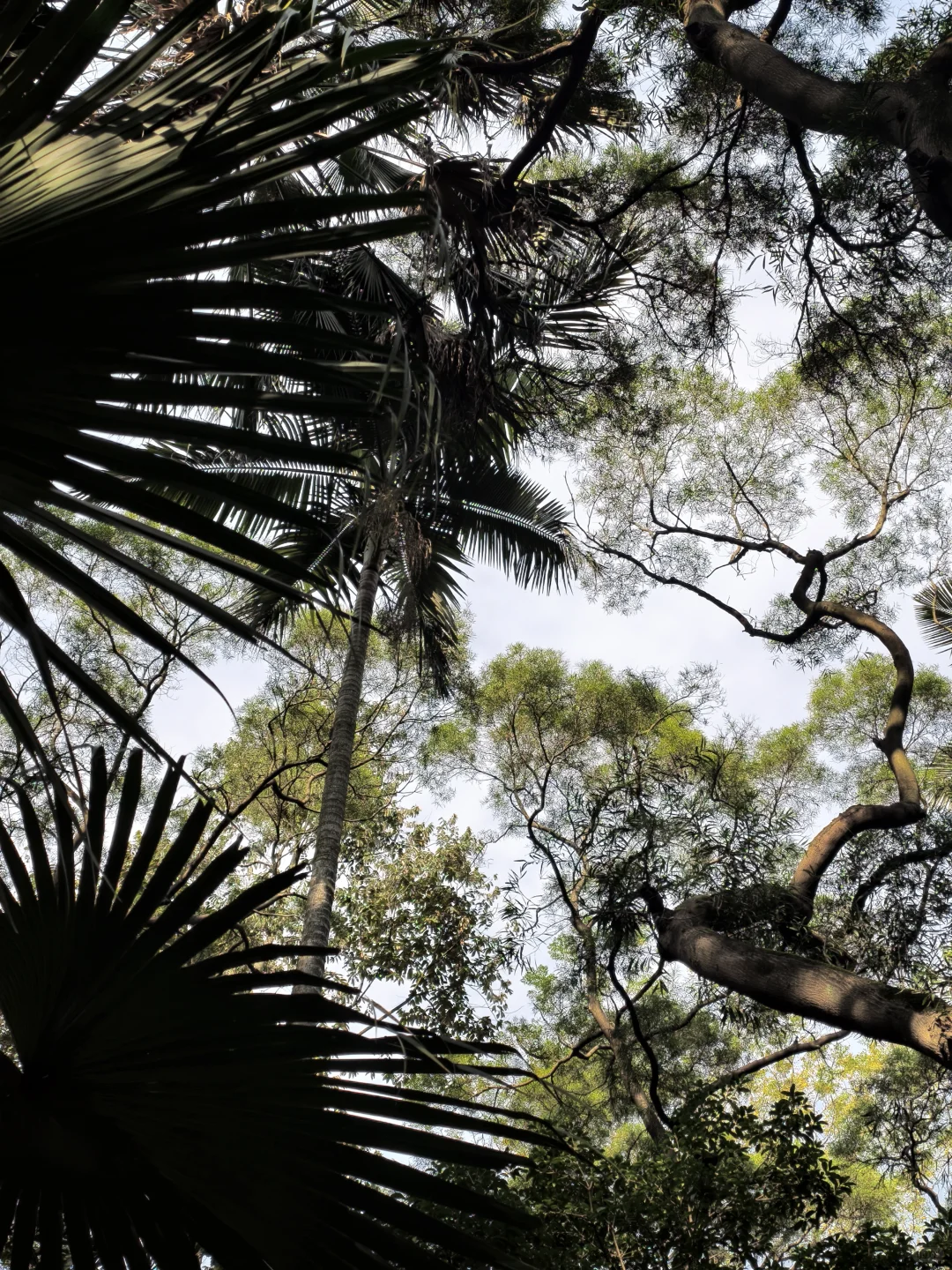 柳州游记，随心随性