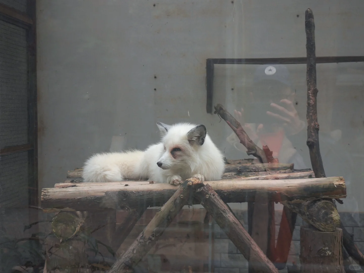 柳州，我相信你还会来的