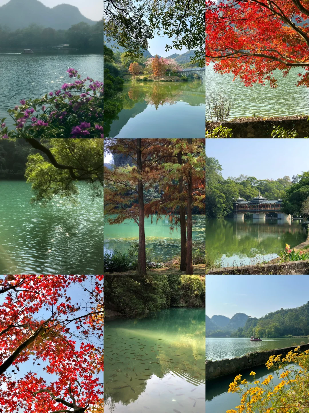 柳州｜龙潭你又美了