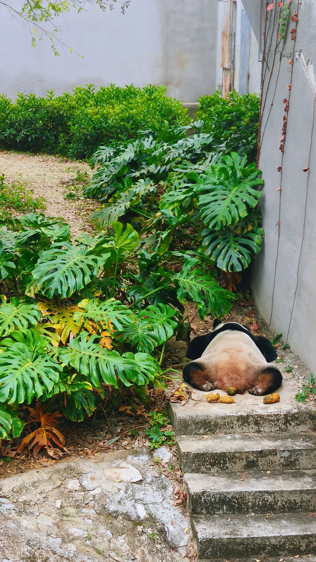 柳州，我相信你还会来的