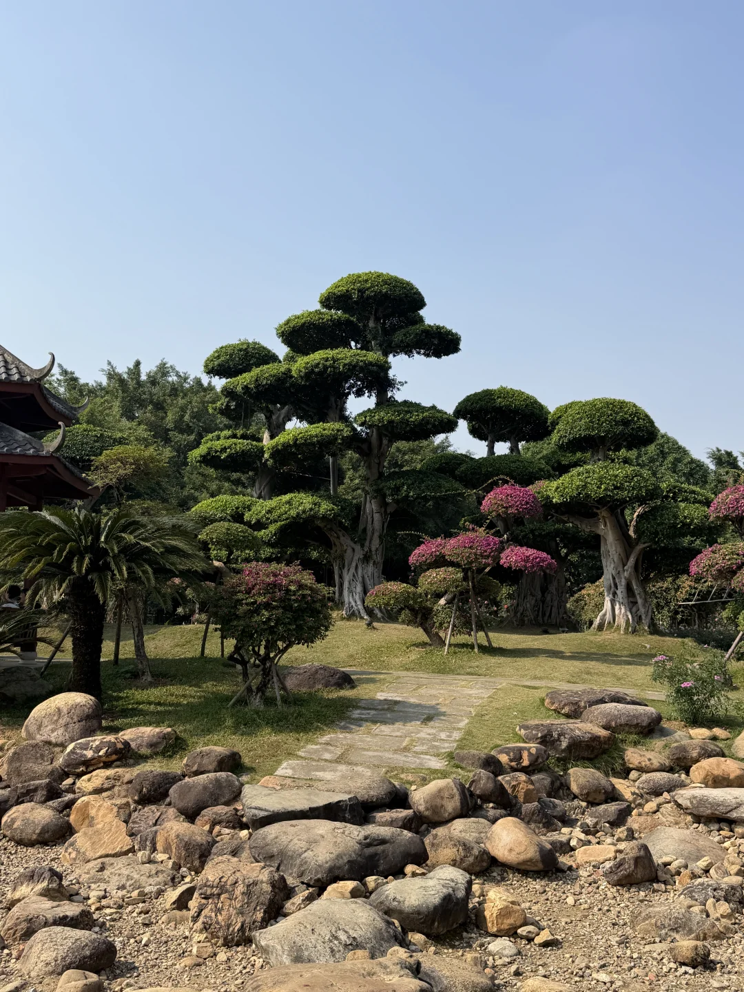 不会还有人没去过南宁这个公园吧…