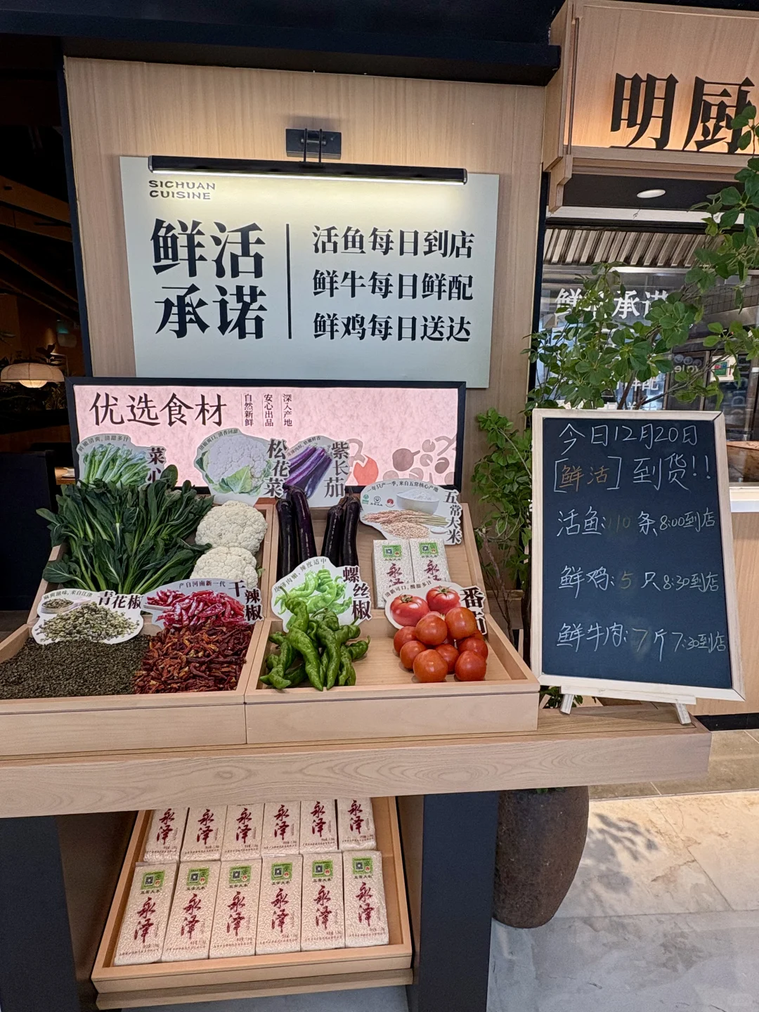 太二，是被高人指点过了吗？！好离谱啊！！