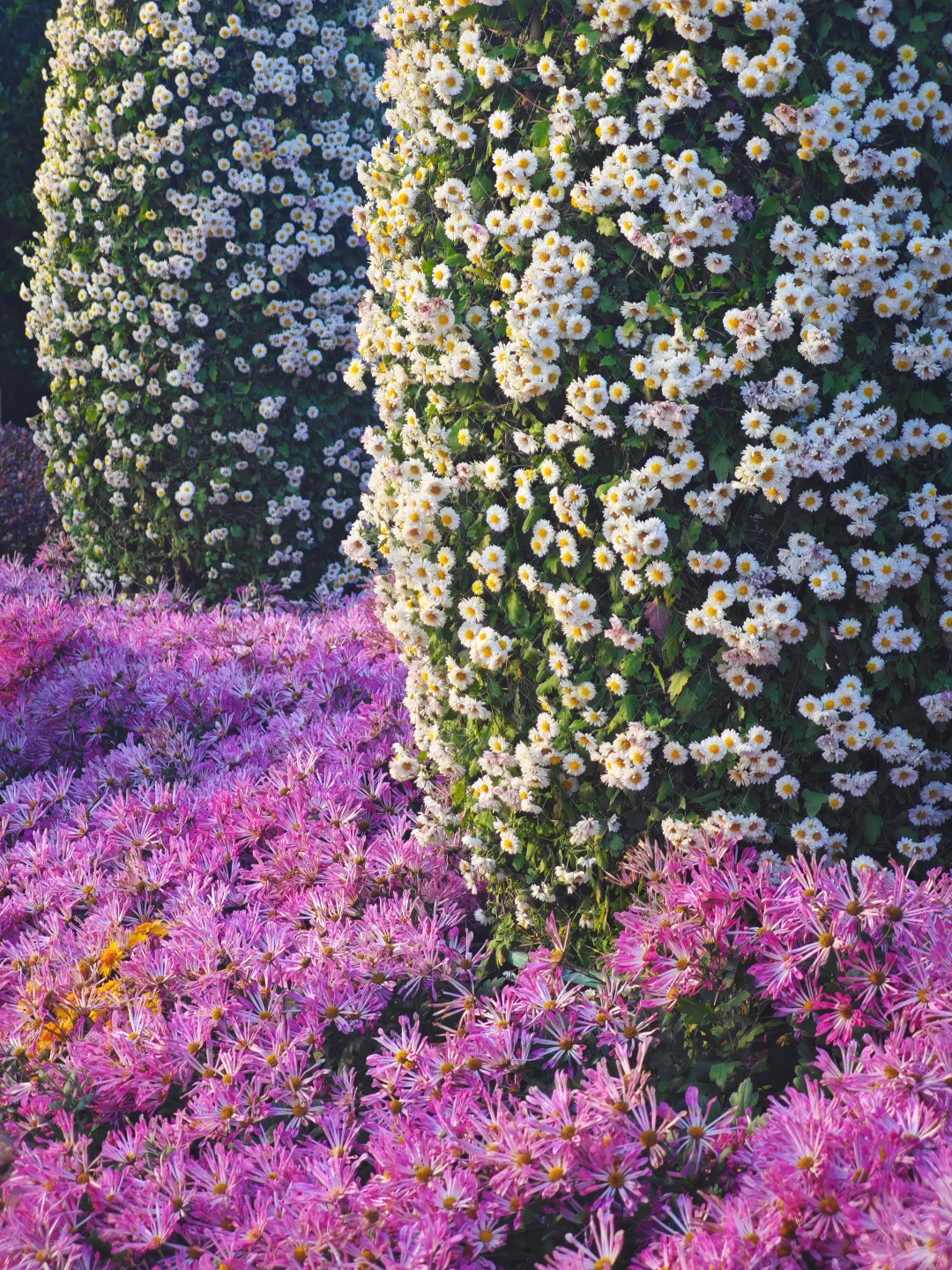 感觉一半的南宁人都去了青秀山