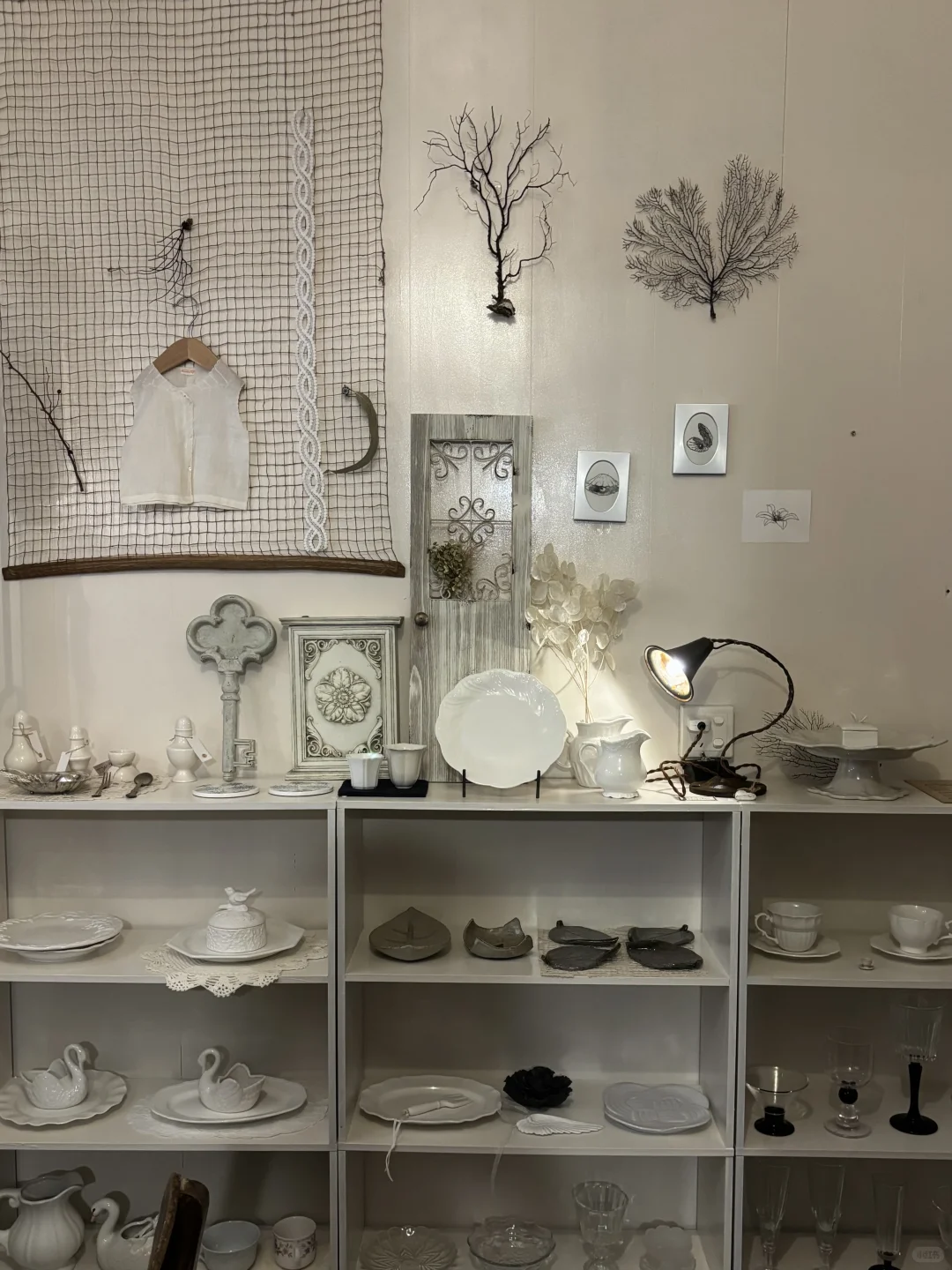 迄今为止，南宁最舒服的一条citywalk路线。。。