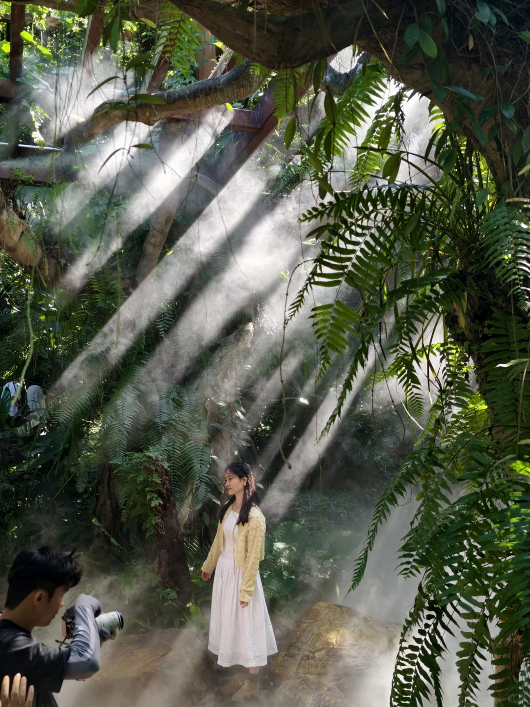 青秀山 | 南宁旅游第一站，详细游玩攻略