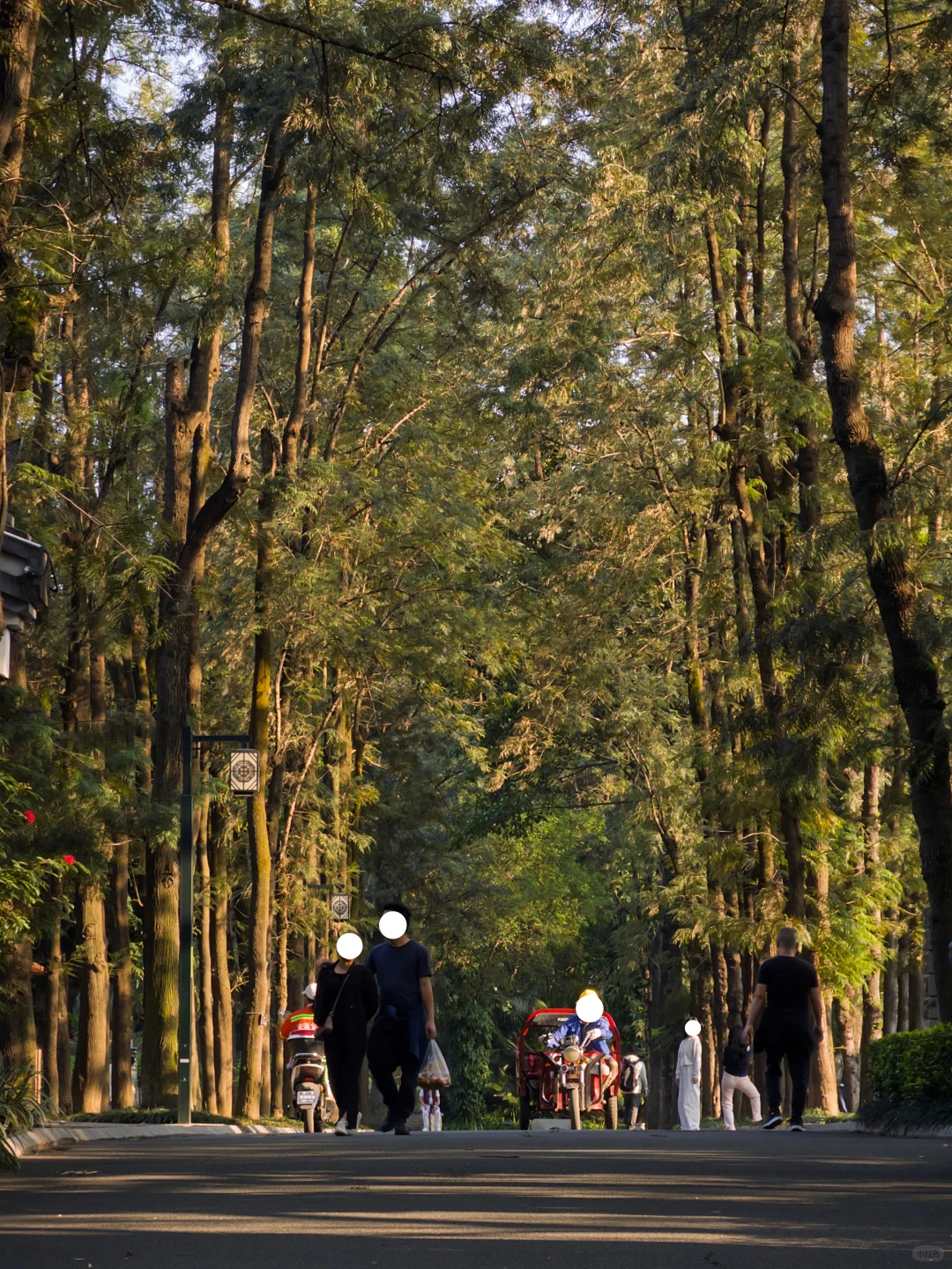 不会还有人没去过南宁这个公园吧…