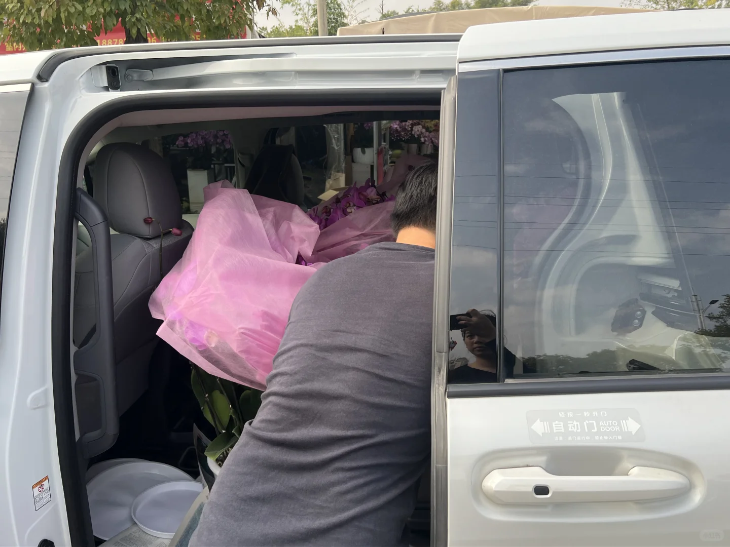 南宁蝴蝶兰、整车走