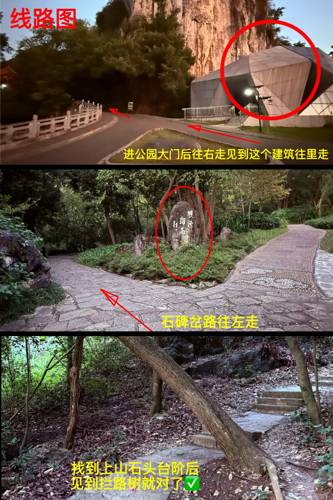 柳州市区爬山看日出就来这