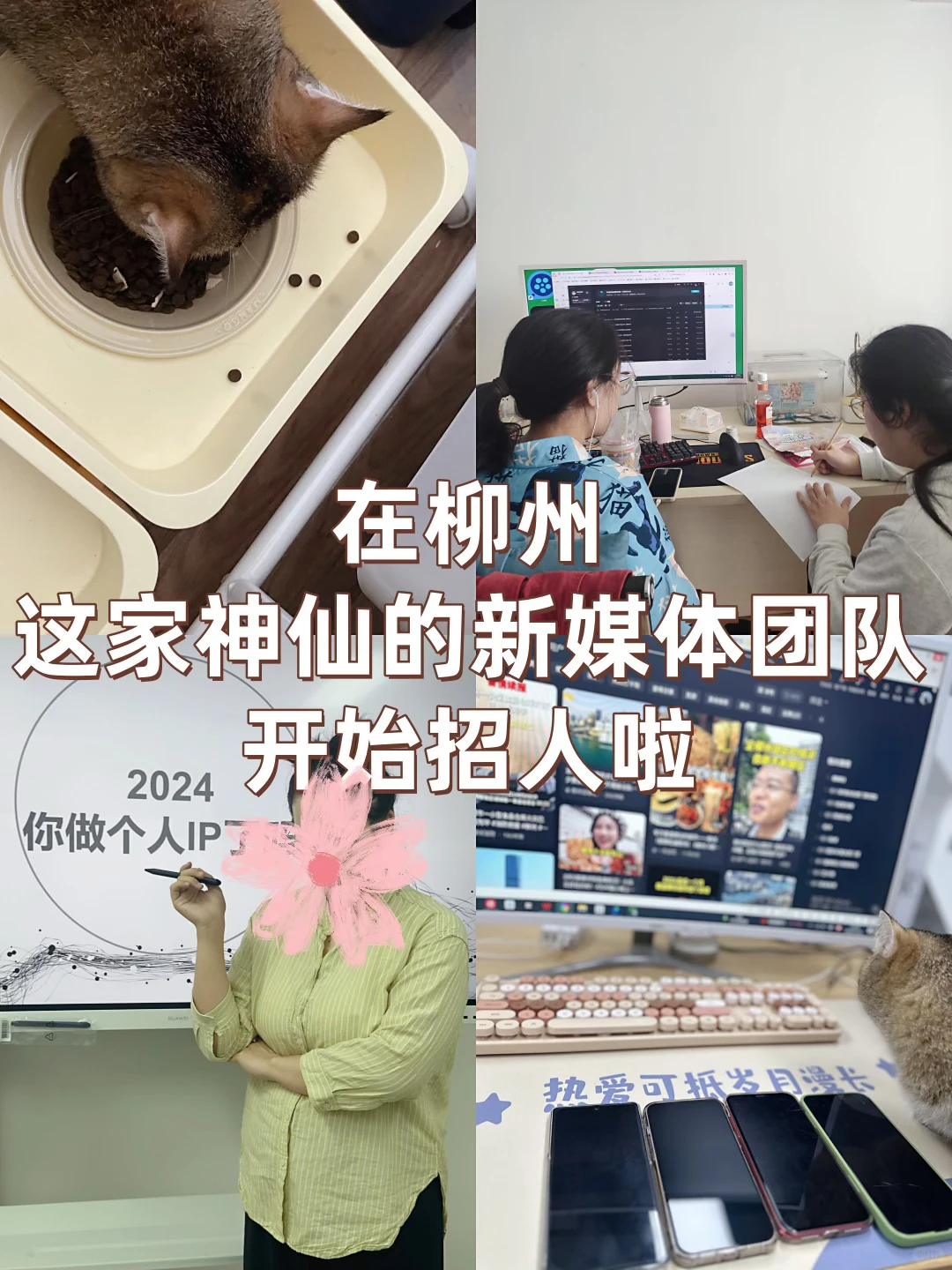 在柳州，不会还有人不知道这家公司吧