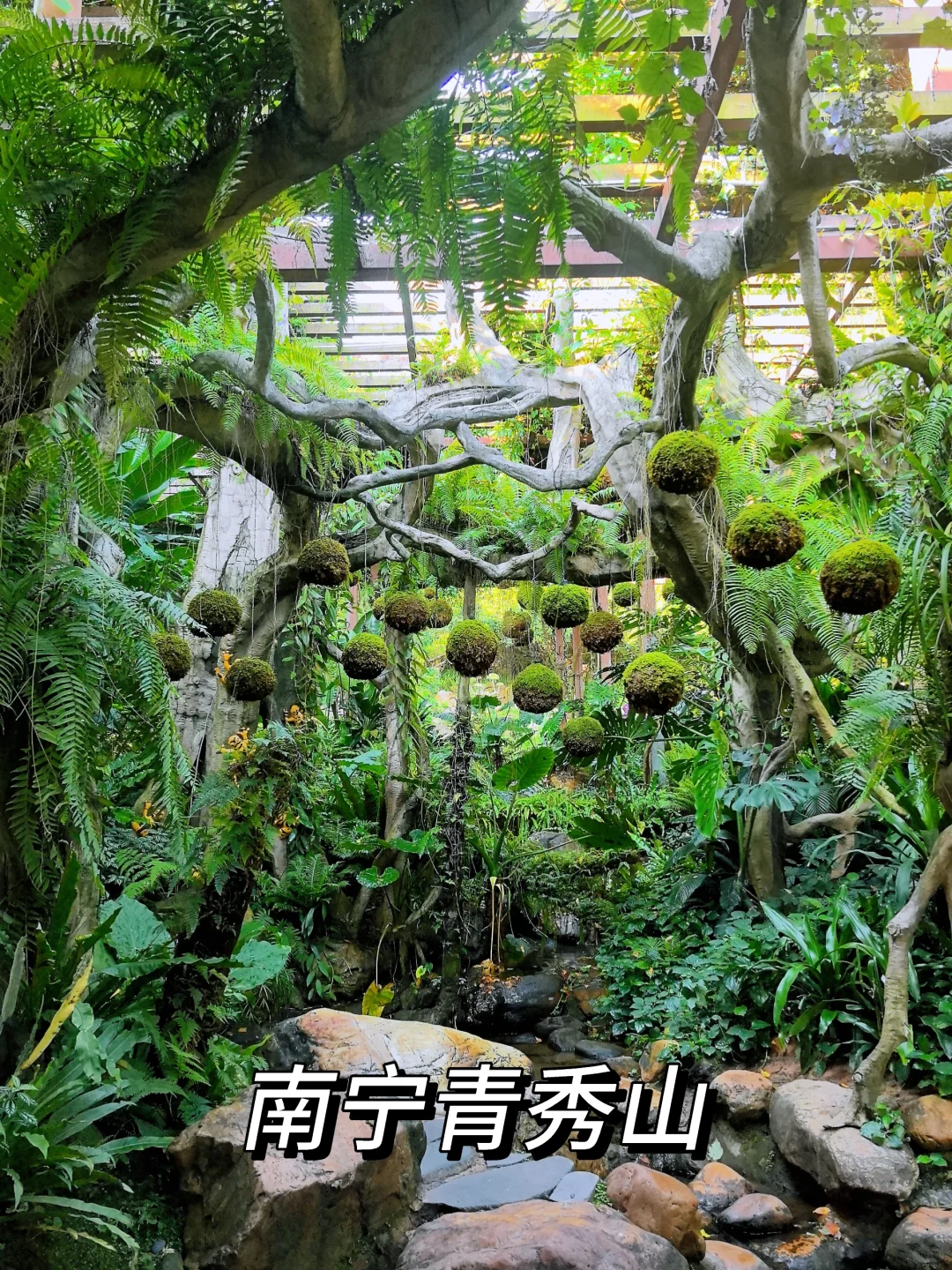 畅玩崇左百色南宁🌈五天四晚的攻略请收下