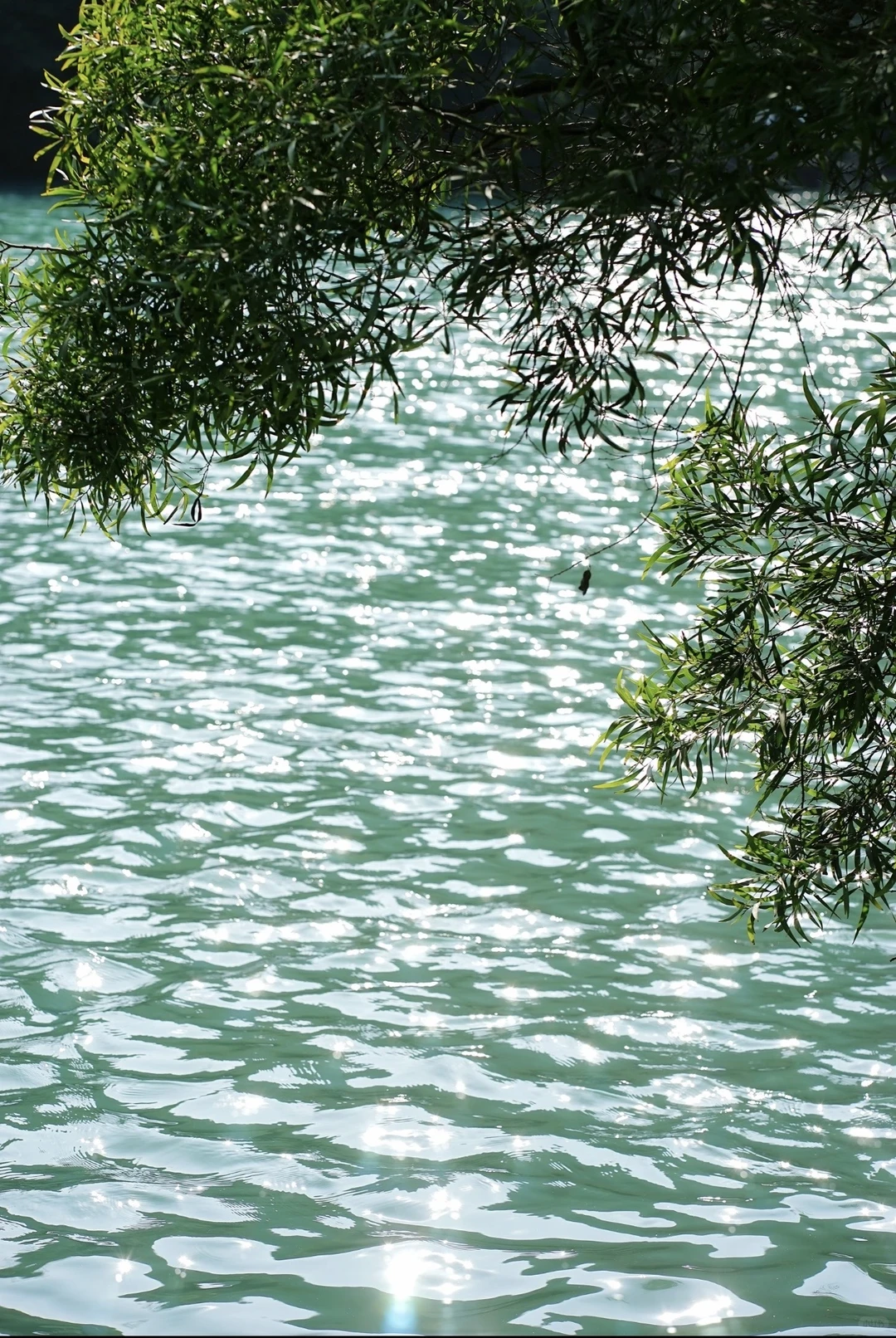 柳州/龙潭公园拍照打卡