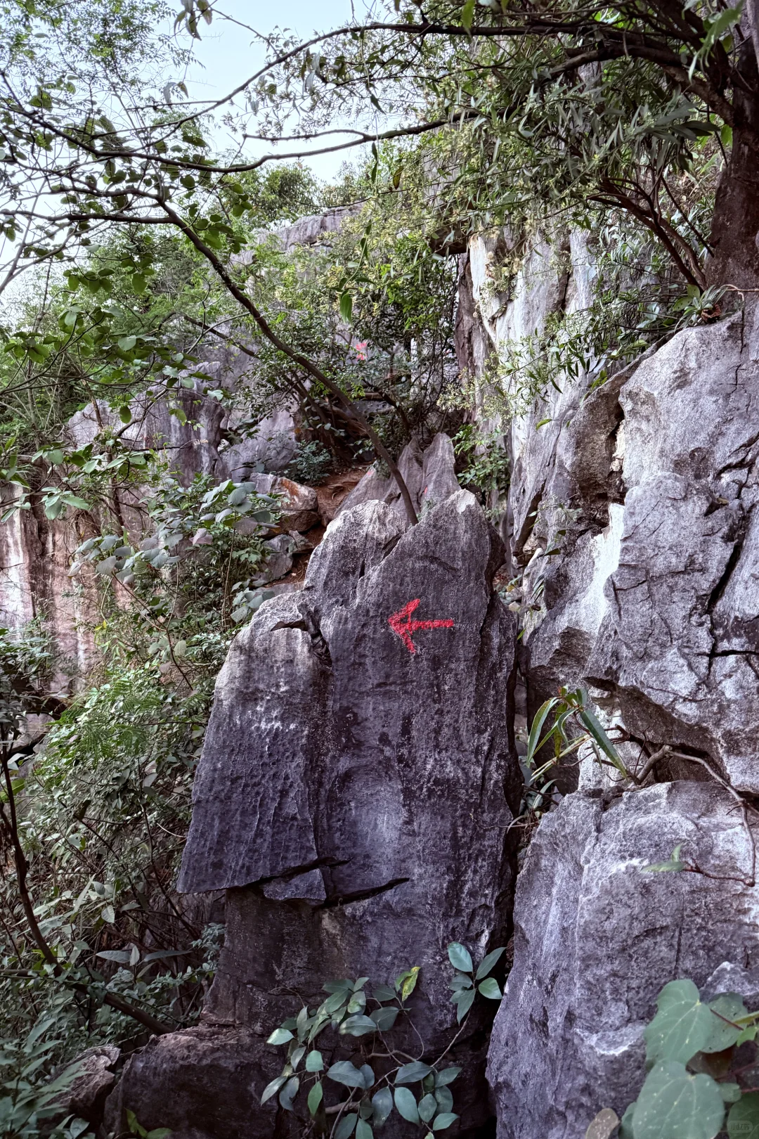 柳州市区爬山看日出就来这