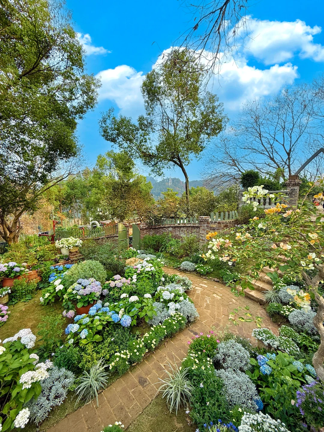 柳州新的！南法庄园🕊️有种不像国内的美