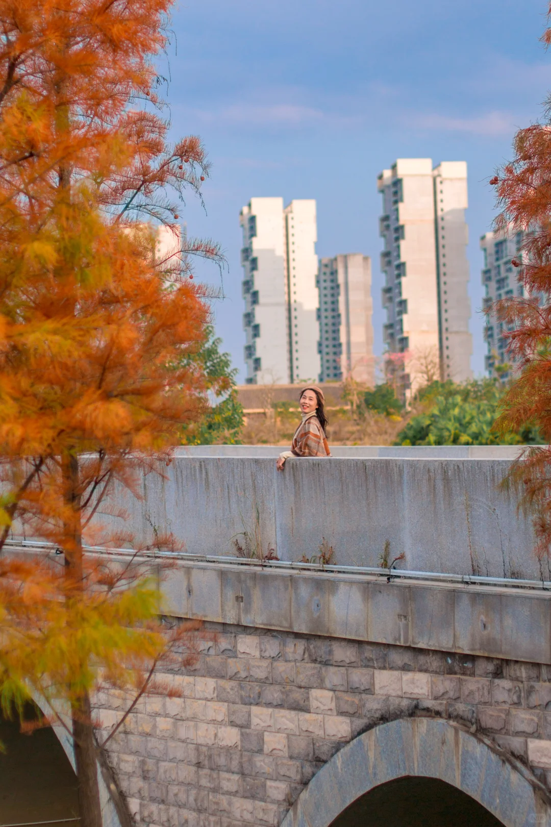 爆款机位被我“包场”了｜柳州水杉秘境