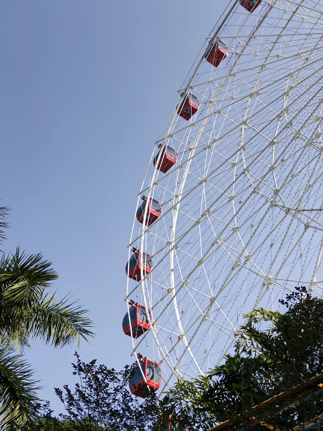 不会还有人没去过南宁这个公园吧…