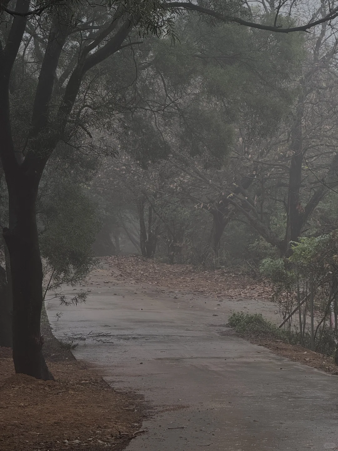 是不是都刷到柳州的这个庄园了 替你们来了
