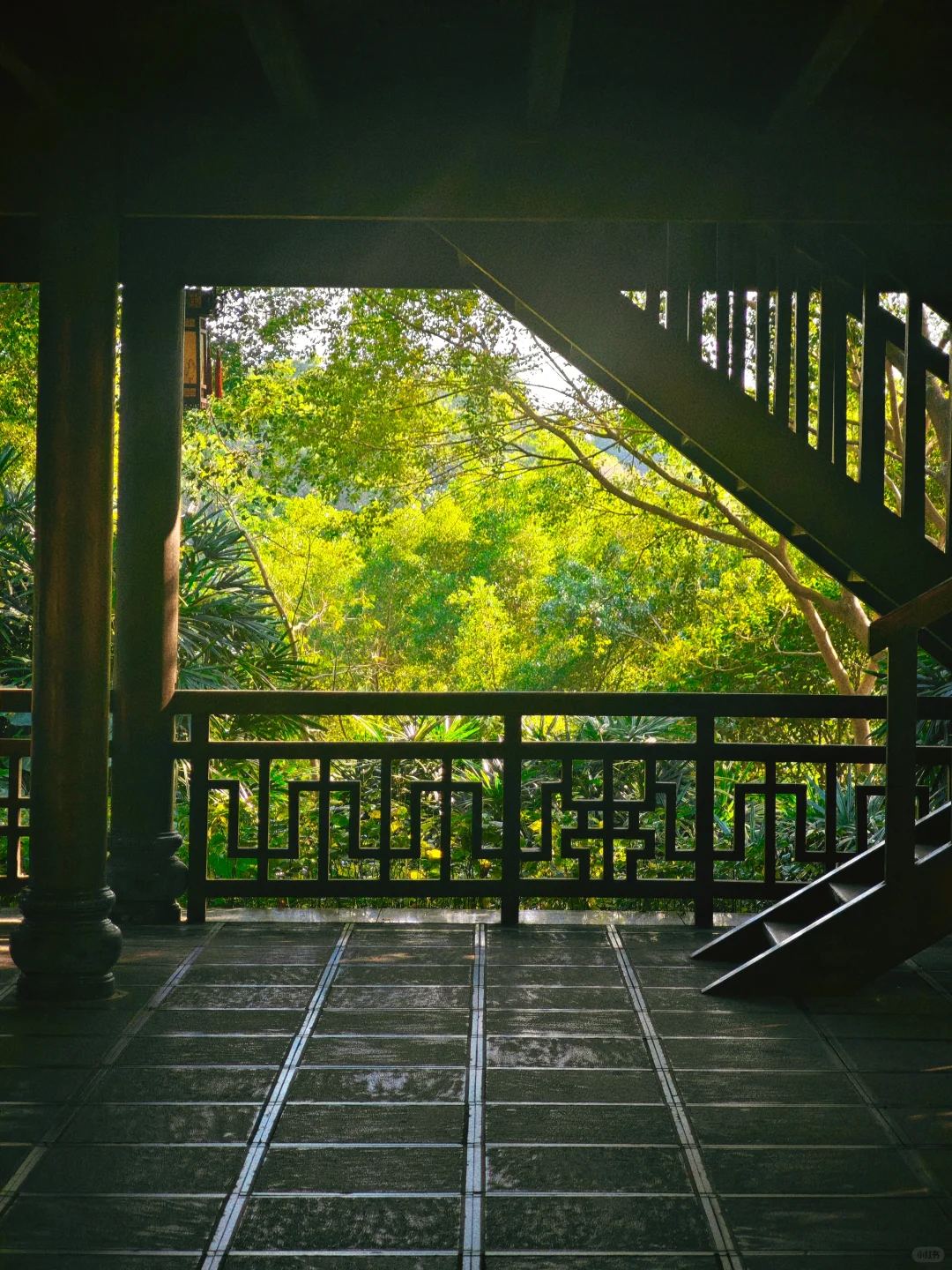 感觉一半的南宁人都去了青秀山