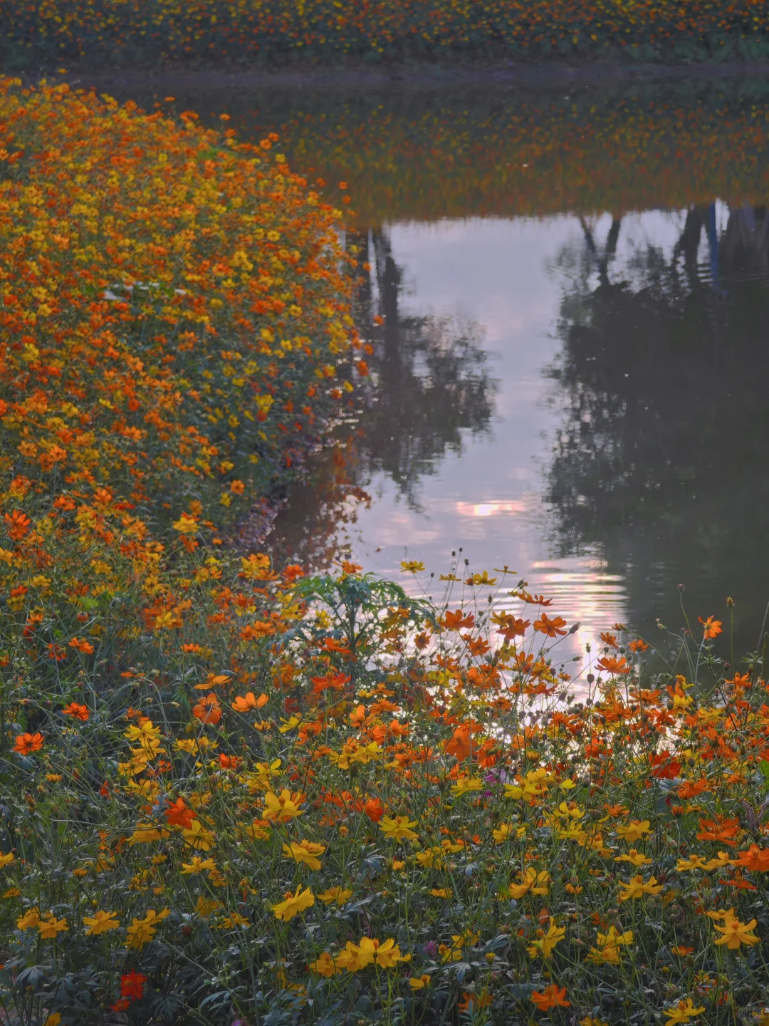 感觉一半的南宁人都去了青秀山
