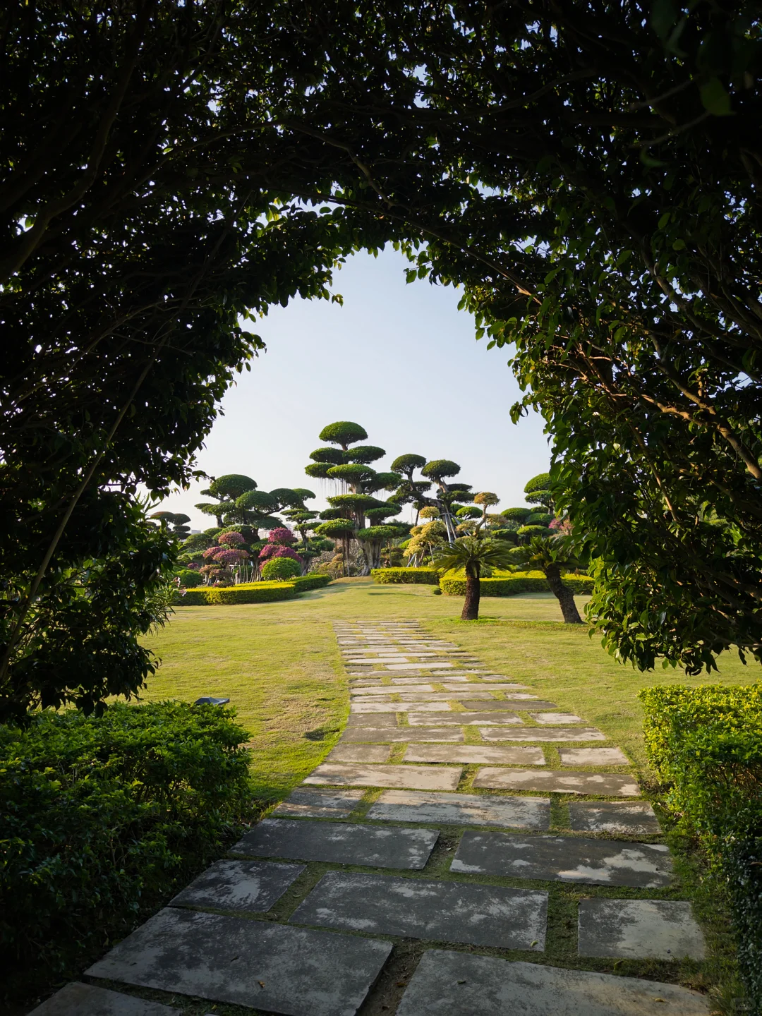 不会还有人没去过南宁这个公园吧…