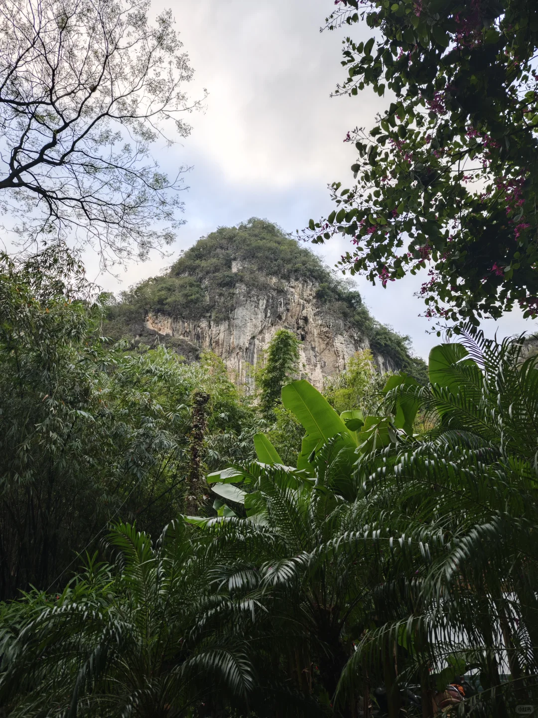 📍柳州市区citywalk｜电动车🛵逛吃路线