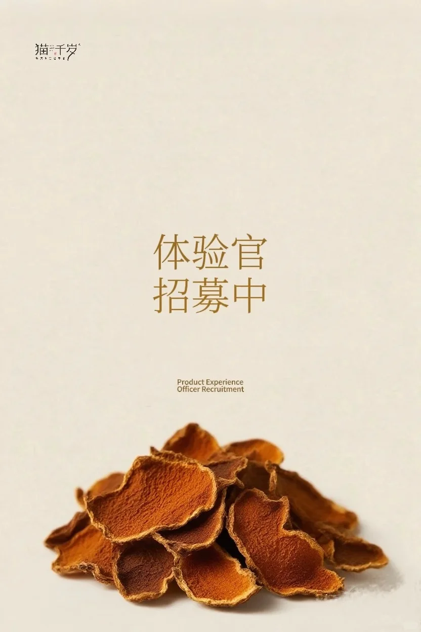 招募猫千岁南宁古辣稻田艺术景区打卡体验官