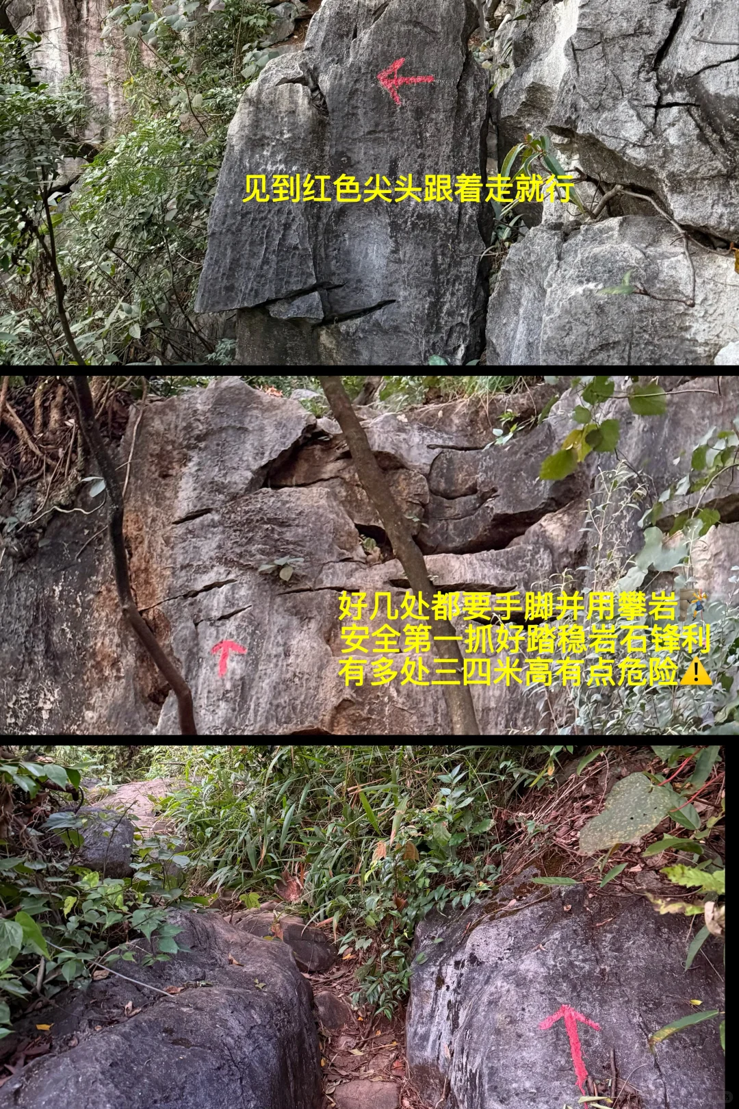 柳州市区爬山看日出就来这