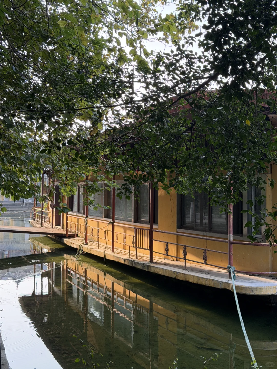 不会还有人没去过南宁这个公园吧…