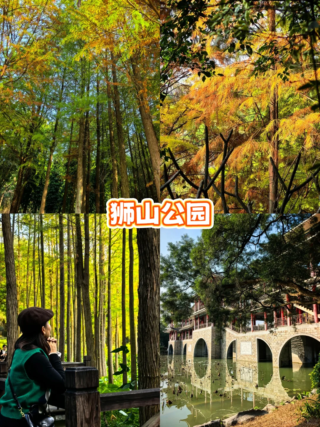 南国冬日不猫冬！打卡南宁8个神仙地～