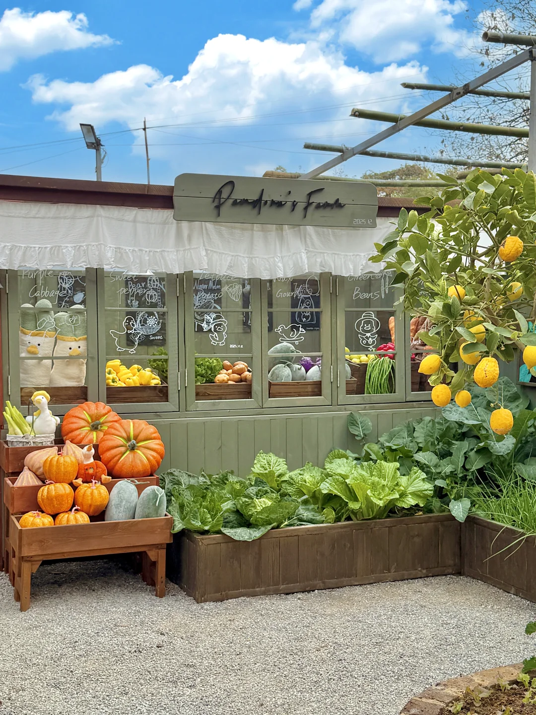 柳州新的！南法庄园🕊️有种不像国内的美