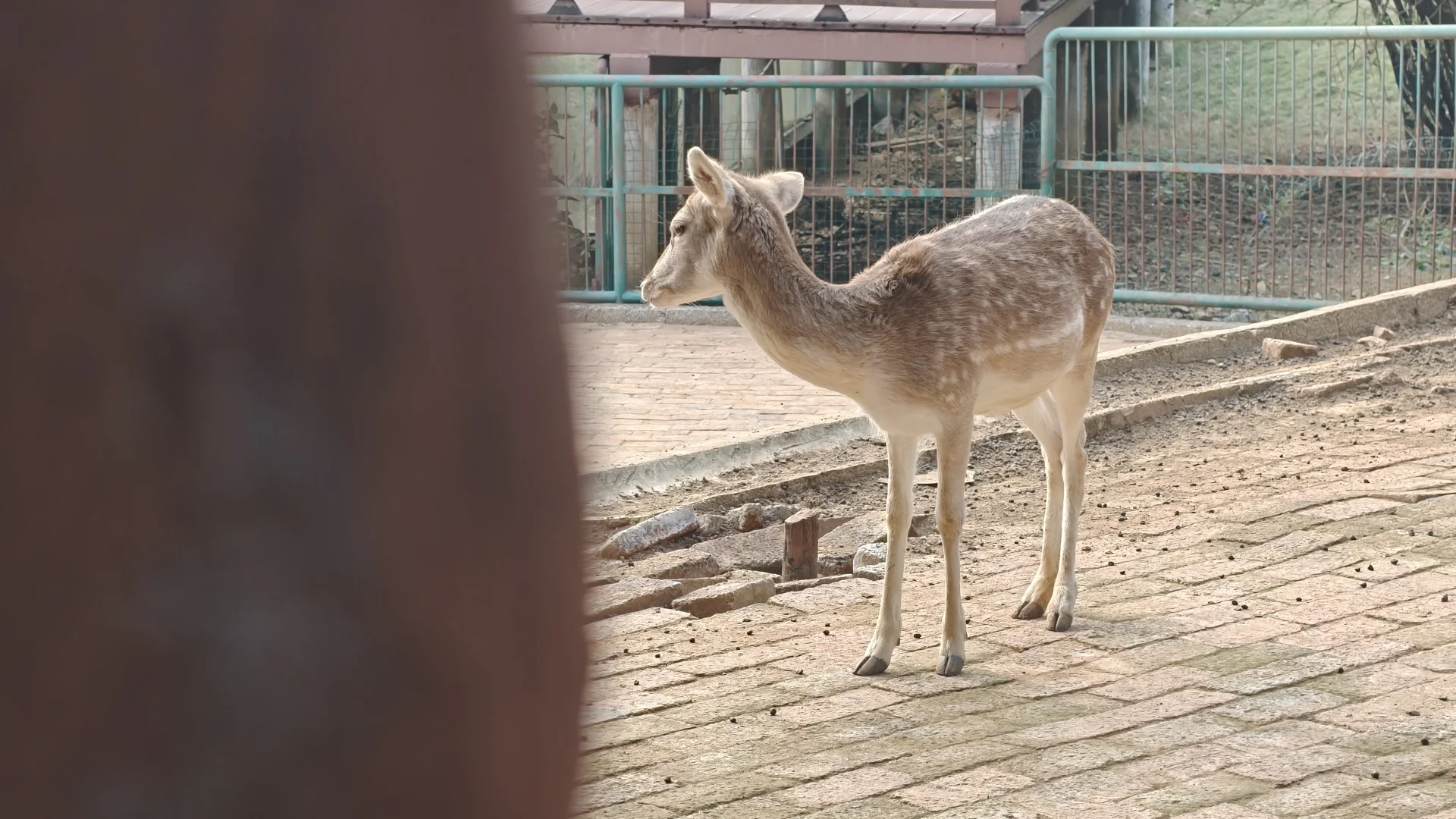 柳州，我相信你还会来的