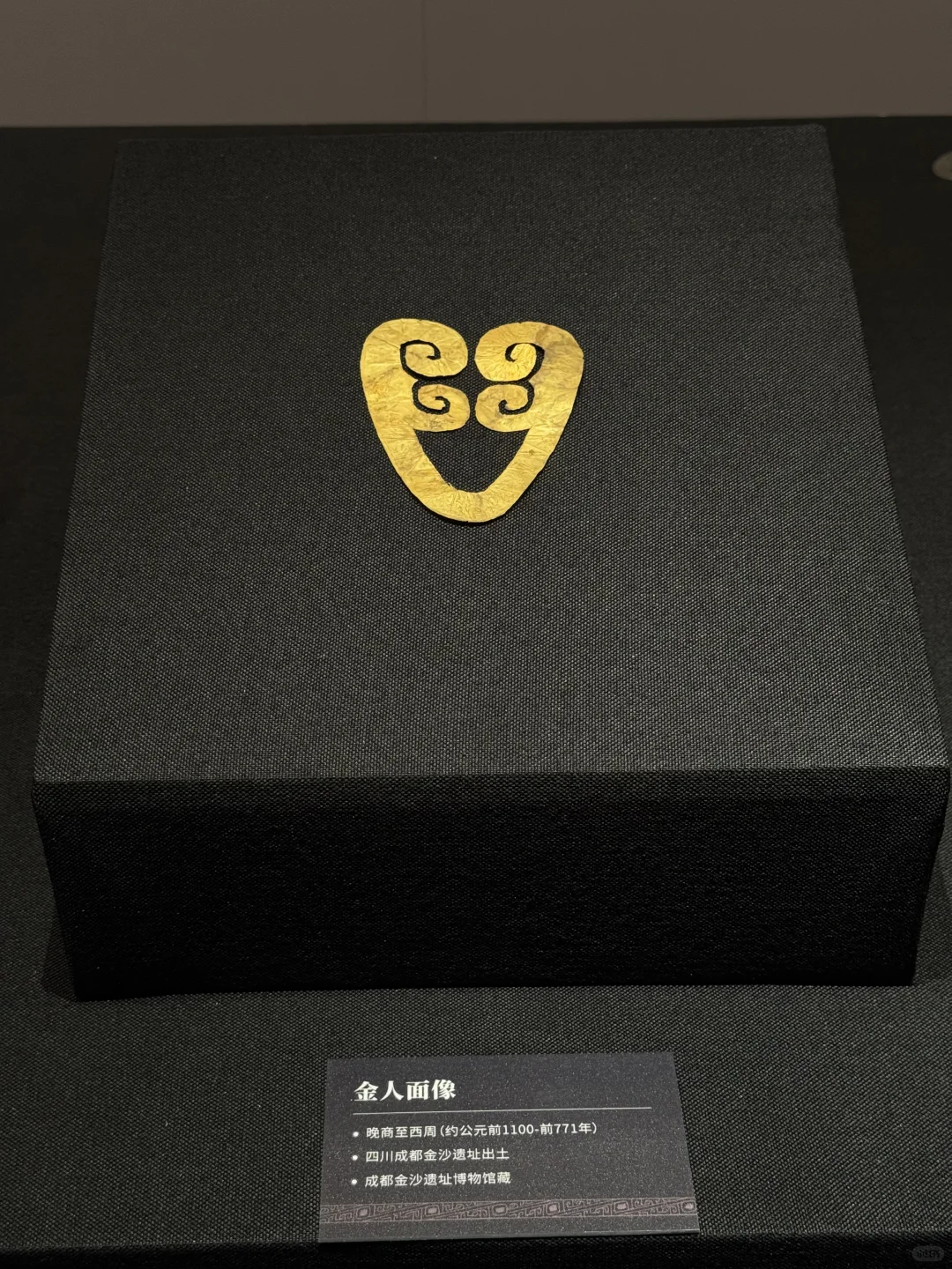 近期南宁最值得打卡的展览📷