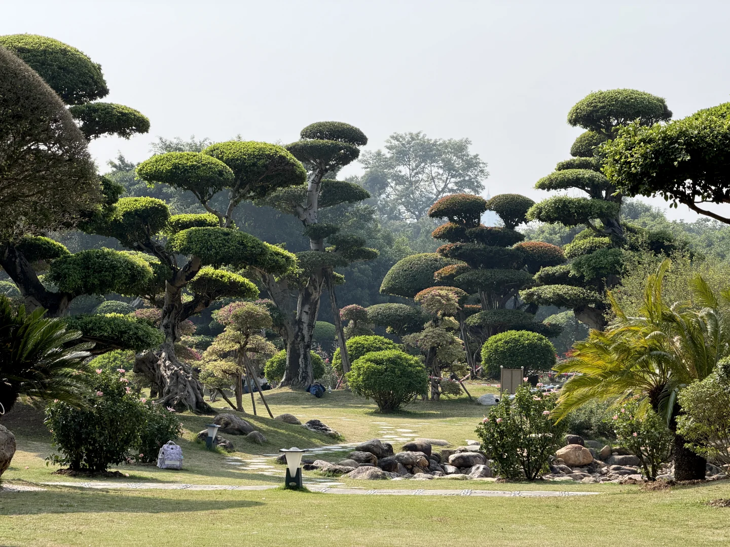 不会还有人没去过南宁这个公园吧…