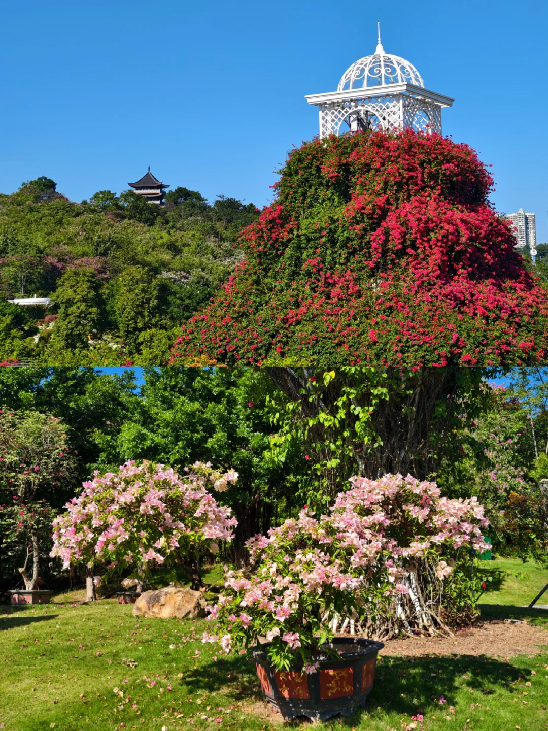 青秀山 | 南宁旅游第一站，详细游玩攻略