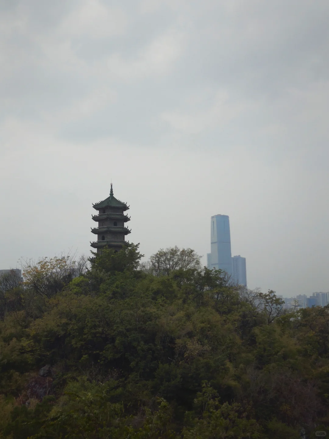 柳州，我相信你还会来的