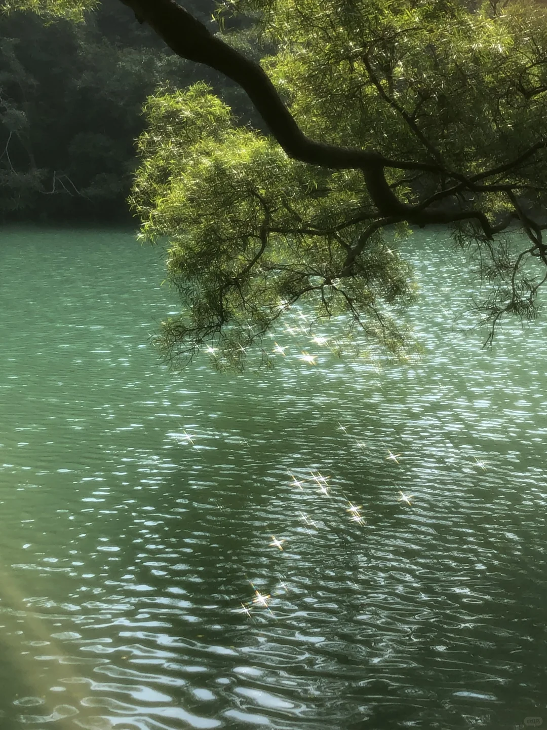 柳州｜龙潭你又美了