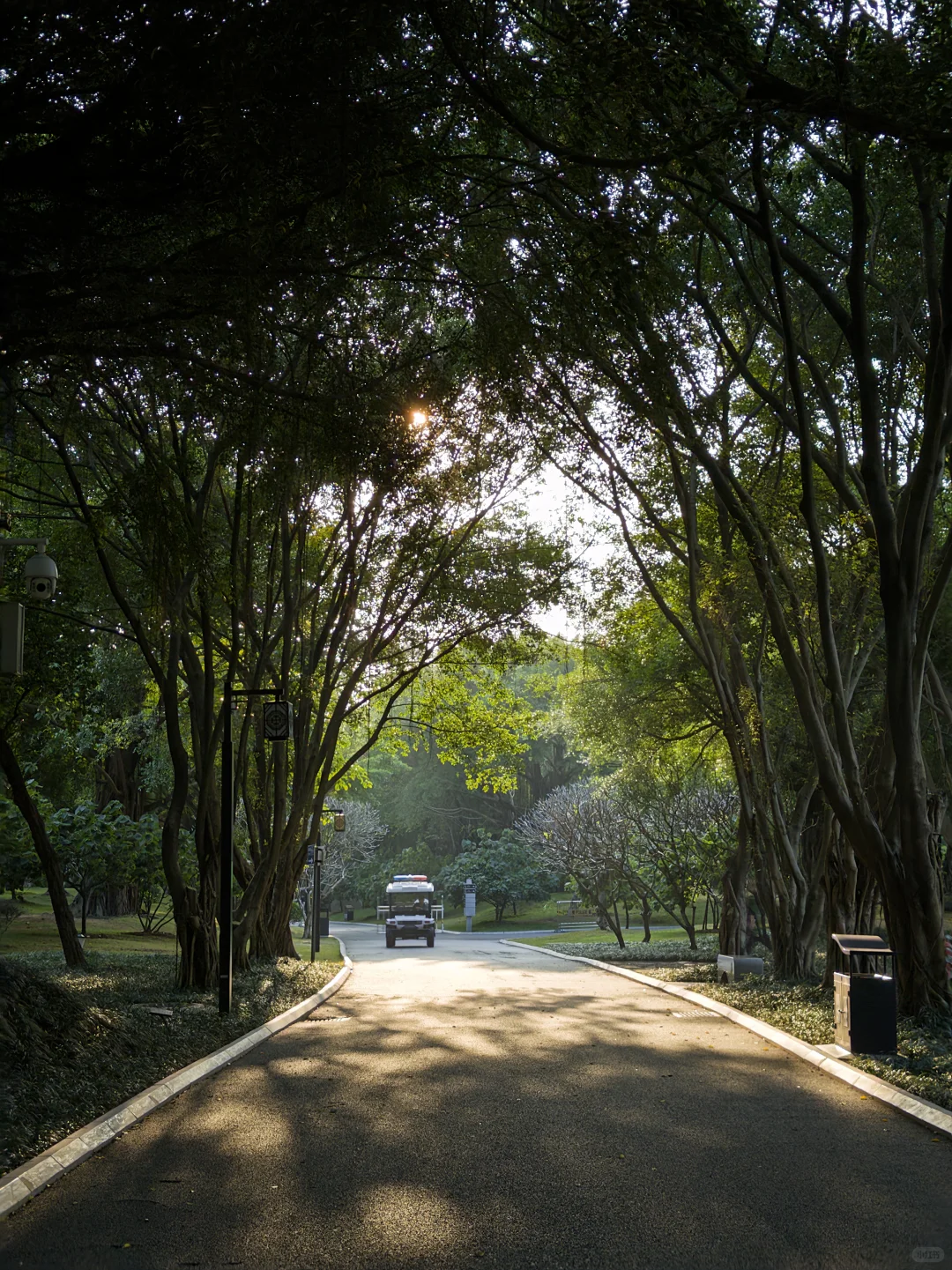 不会还有人没去过南宁这个公园吧…