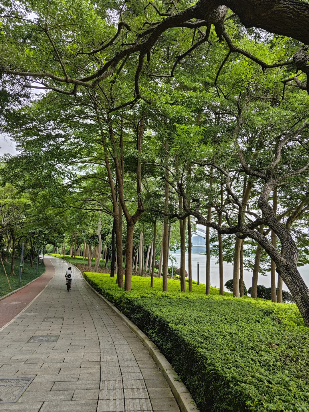 还是最喜欢南宁邕江的这一段江景，安静舒适