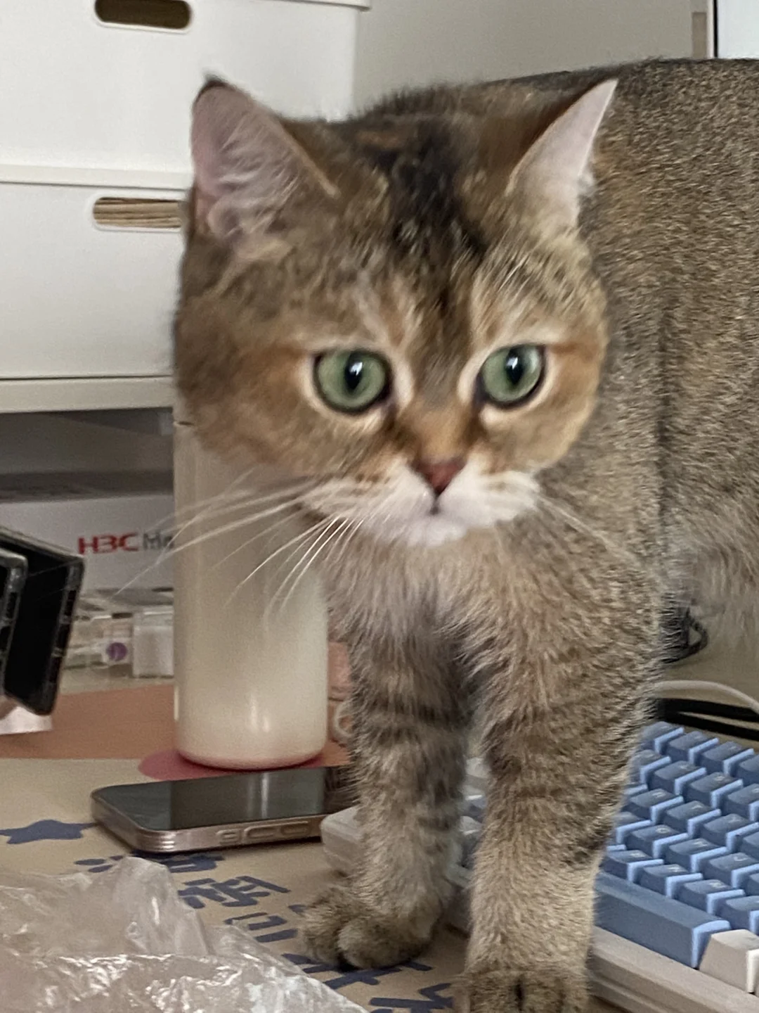 在柳州，不会还有人不知道这家公司吧