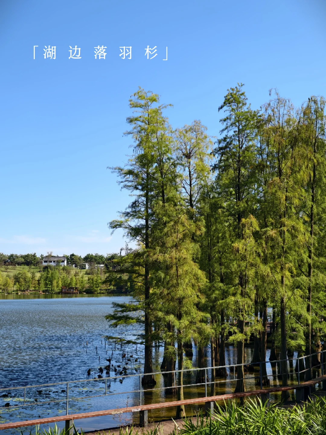 青秀山 | 南宁旅游第一站，详细游玩攻略