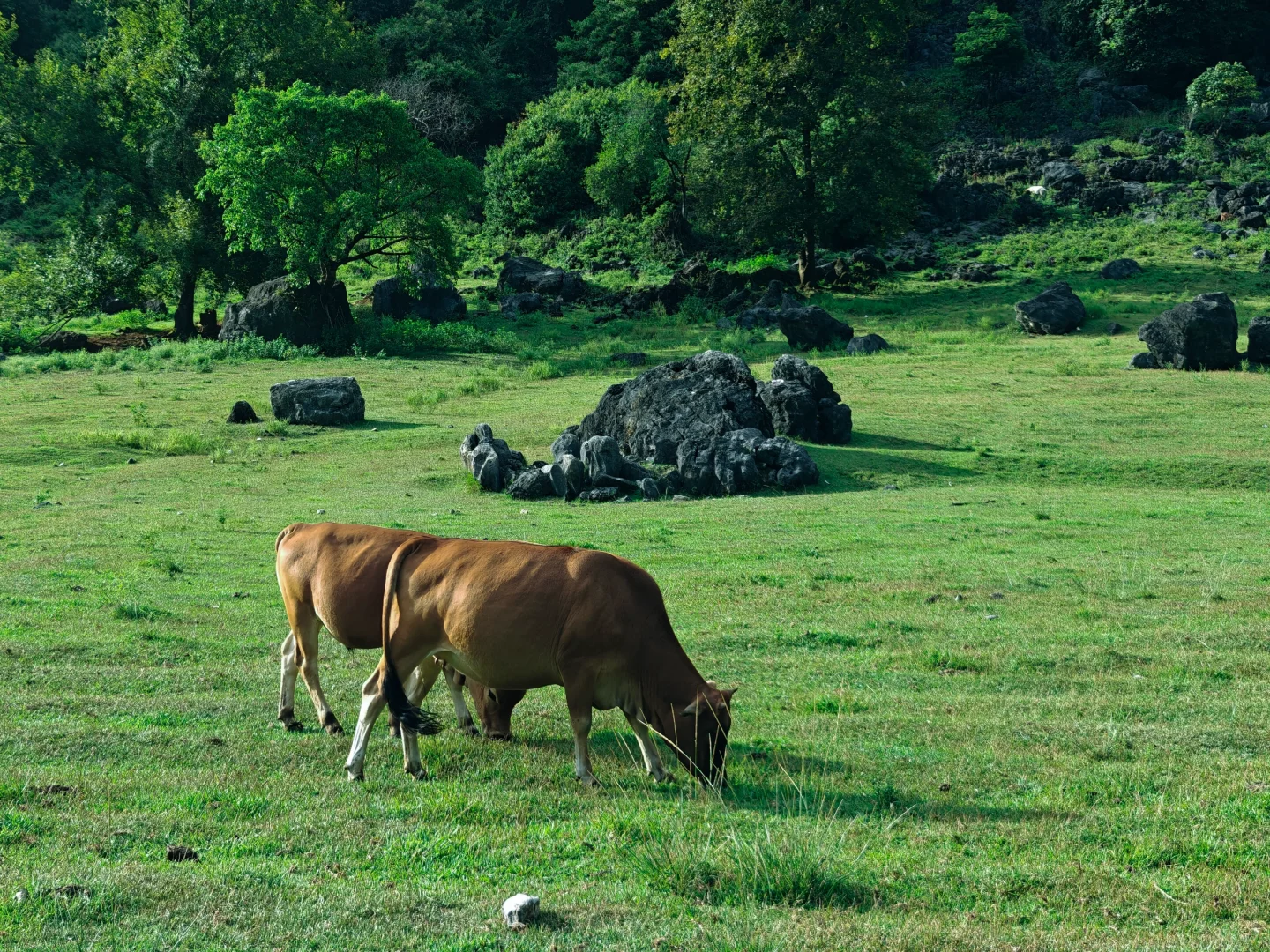 柳州去了 景看了（下）