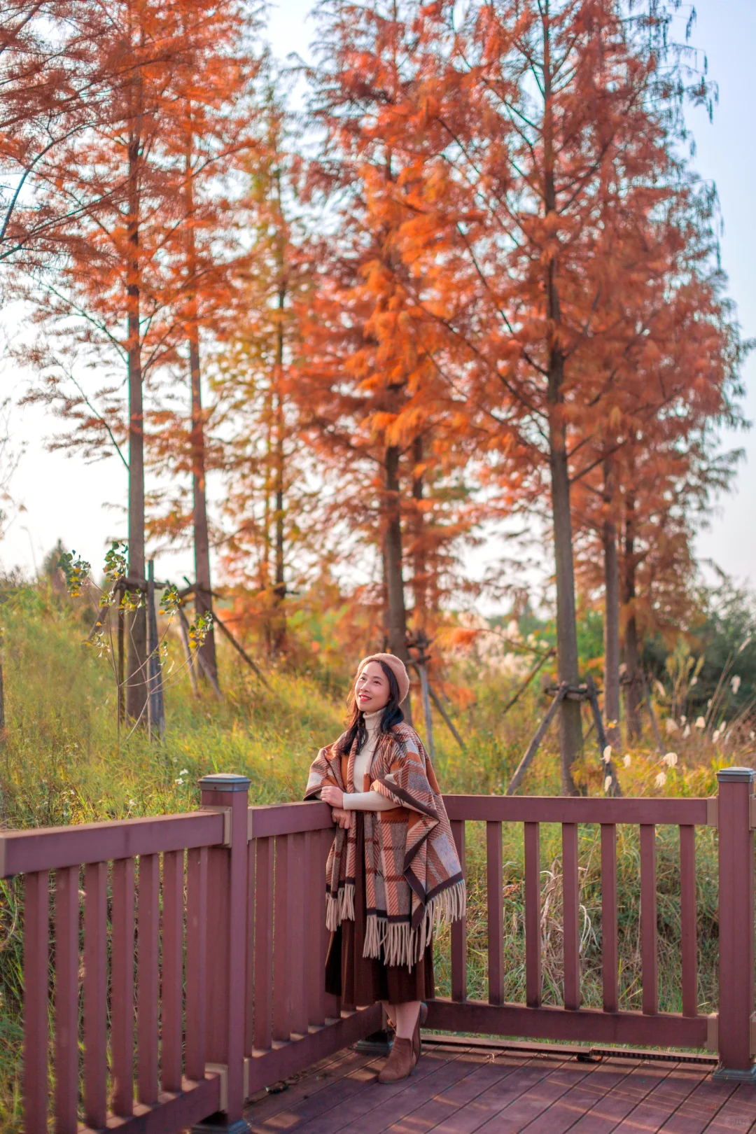 爆款机位被我“包场”了｜柳州水杉秘境