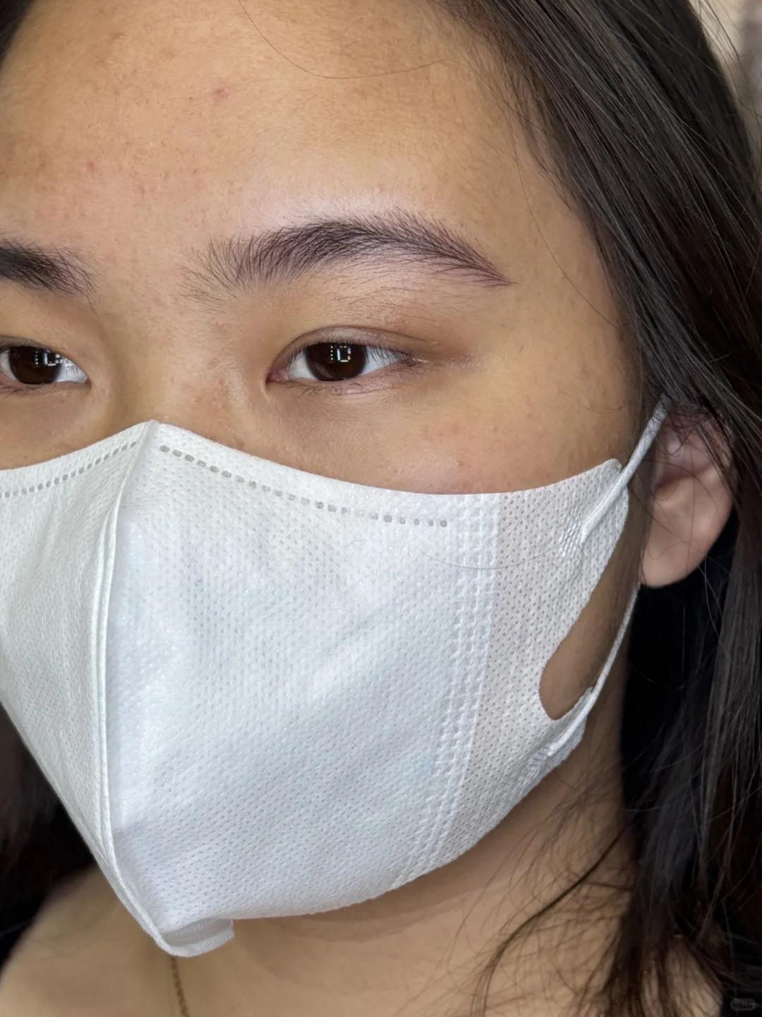 柳州融水野生眉 | 原相机实况图