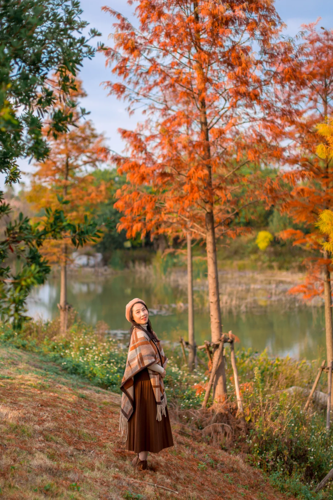 爆款机位被我“包场”了｜柳州水杉秘境