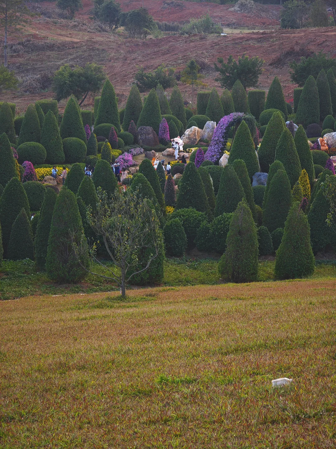 感觉一半的南宁人都去了青秀山